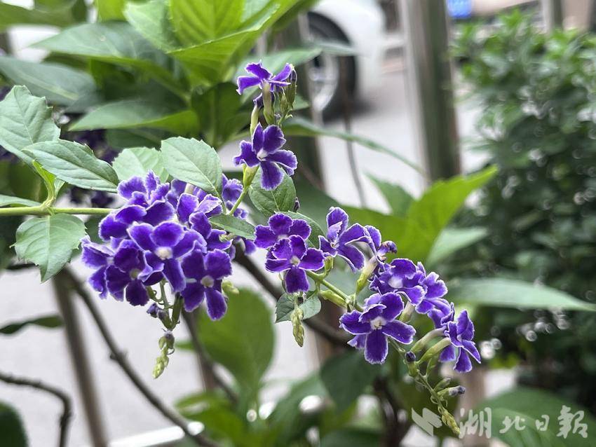 永利电脑下载